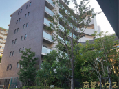 ���s�{���s�s������[���L�g����12�̒��Ã}���V�����̉摜