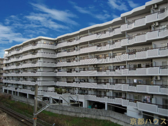 ���s�{���s�s�����操�R�������}�O1�̒��Ã}���V�����̌��n�O�ώʐ^