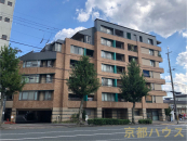 ���s�{���s�s�k��ߊ}�k�V�_�X��35�̒��Ã}���V�����̉摜