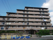 ���s�{���s�s������j��썡�䒬111�̒��Ã}���V�����̉摜