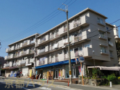 ���s�{���P�S��R�蒬�~���������O�̒��Ã}���V�����̉摜