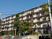 ���s�{���P�S��R�蒬�~���������O�̒��Ã}���V�����̉摜