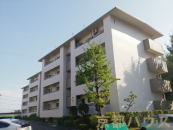 ���s�{���P�S��R�蒬�~�������@���E�k�Y�E���q���̒��Ã}���V�����̉摜